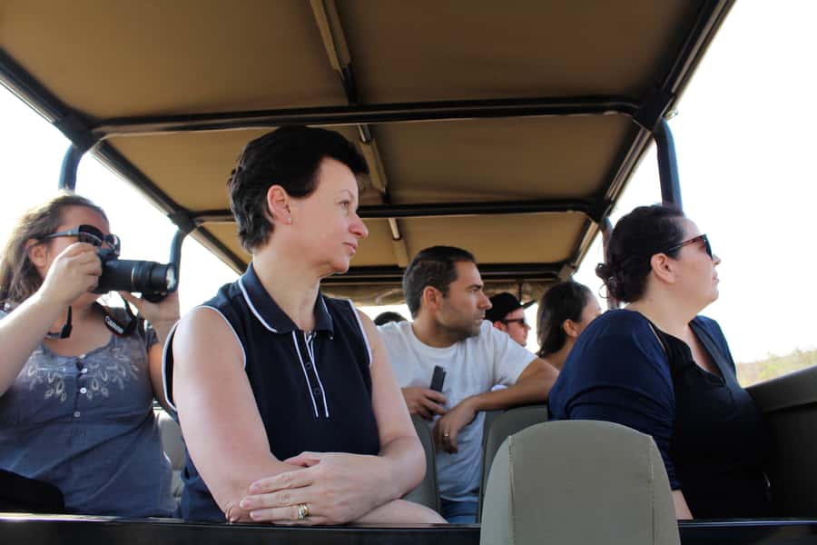 From Johannesburg: Pilanesberg Nature Reserve Game Safari - Lunch at the rest camp