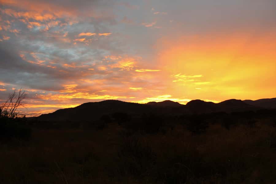 From Johannesburg: Pilanesberg Nature Reserve Game Safari - Who should book this safari