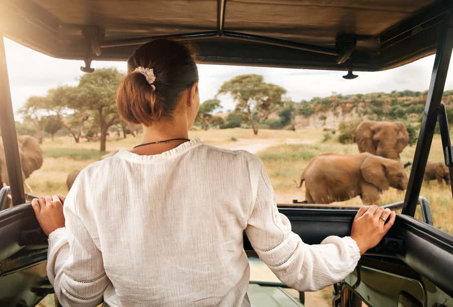 From Johannesburg: Pilanesberg Wildlife Safari - Who should book this Pilanesberg day trip?