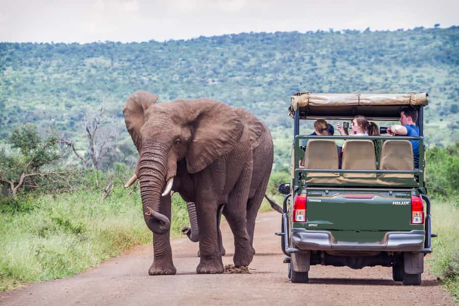 From Johannesburg: Pilanesberg Wildlife Safari - The 2.5-hour road trip from Johannesburg