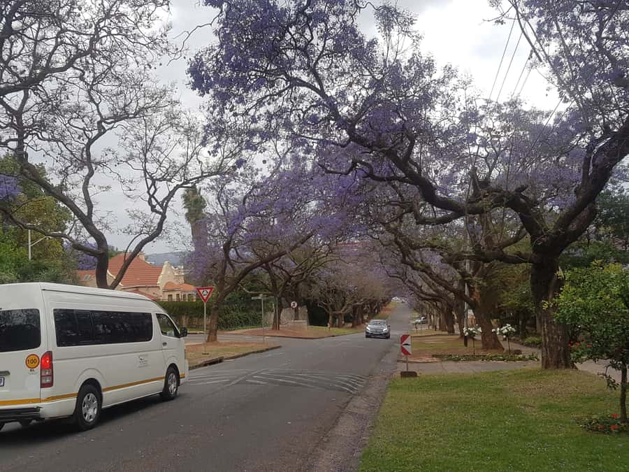 From Johannesburg: Pretoria Half Day Tour - Key points to know before booking