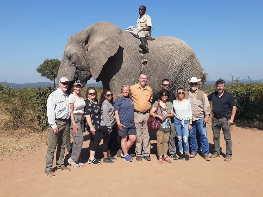 From Malelane: Half Day Kruger Park Wildlife Safari - Why the early start matters in Kruger