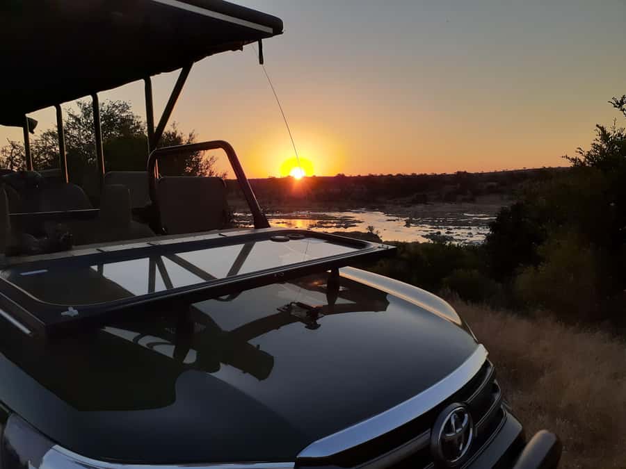 From Malelane: Half Day Kruger Park Wildlife Safari - Searching for the Big Five, without false promises