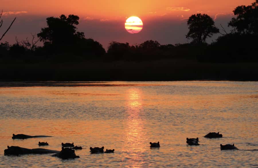 From Marloth Park: Sunset River Cruise Safari - Looking for hippos, crocodiles, and river birds
