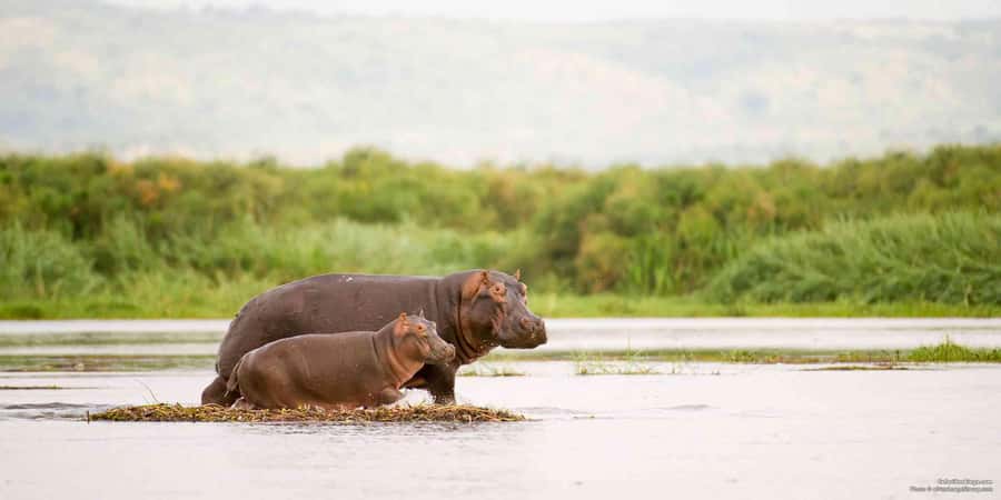 From Marloth Park: Sunset River Cruise Safari - The first stretch of the Komati and Crocodile Rivers
