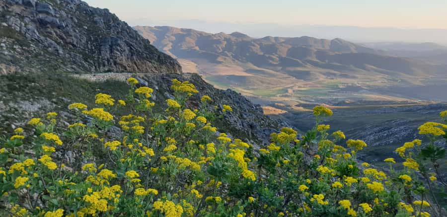 From Oudtshoorn: Full-Day Private Swartberg Mountain Tour - Wildlife, conservation, and the H.O.P.E. Foundation