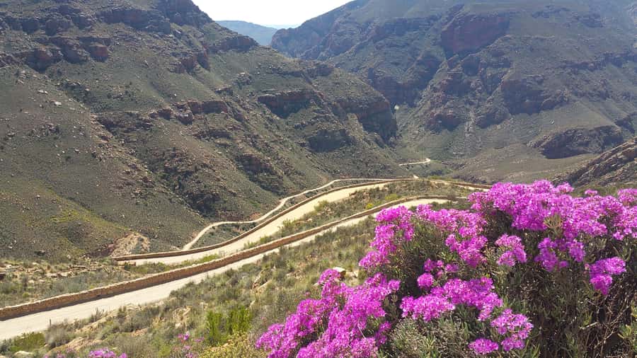 From Oudtshoorn: Full-Day Private Swartberg Mountain Tour - Descending to Prince Albert for lunch