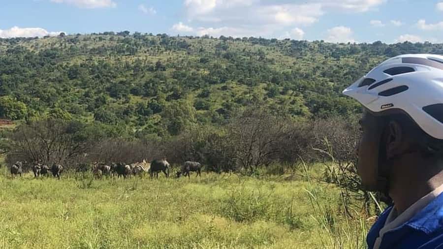From Pretoria: E-Bike in the wild with game near Jo'burg - Riding Groenkloof’s paved reserve roads