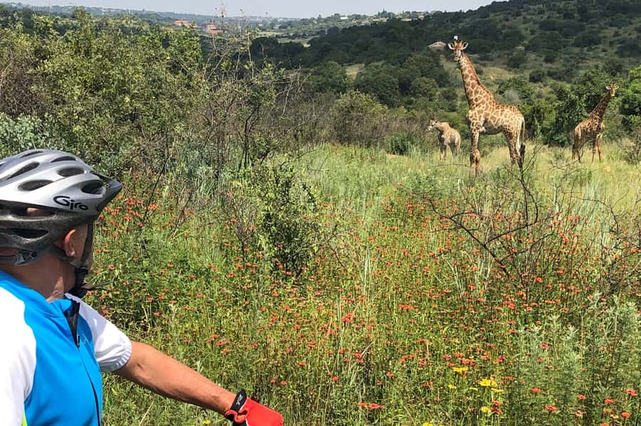From Pretoria: E-Bike in the wild with game near Jo'burg - Wildlife sightings beside the road