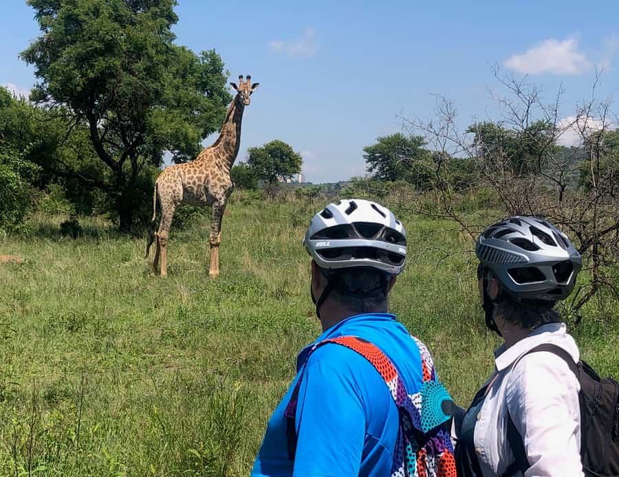 From Pretoria: E-Bike in the wild with game near Jo'burg - Is the $102 price fair?