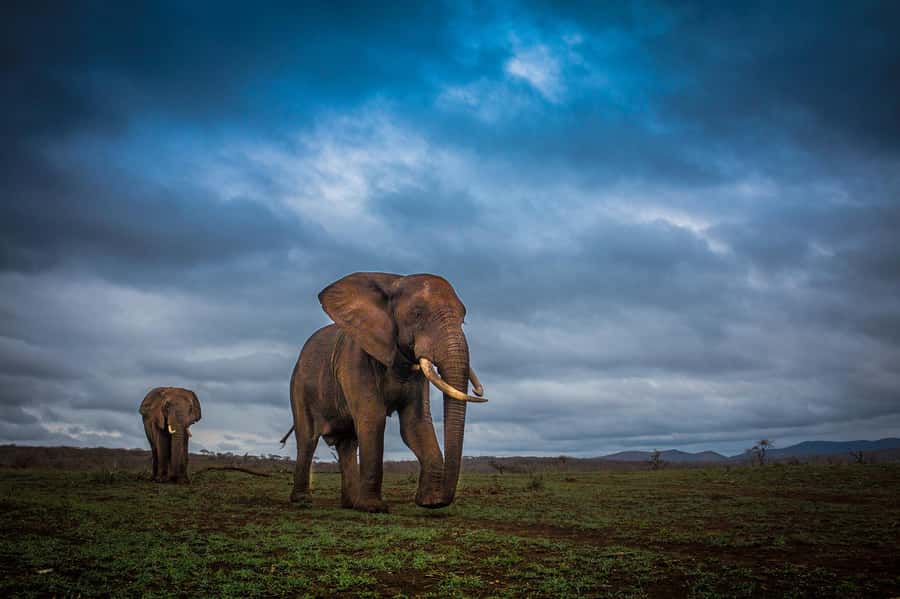 From St Lucia: 3 Day 2 Night Hluhluwe,St Lucia, iSimangaliso - Should you book it?