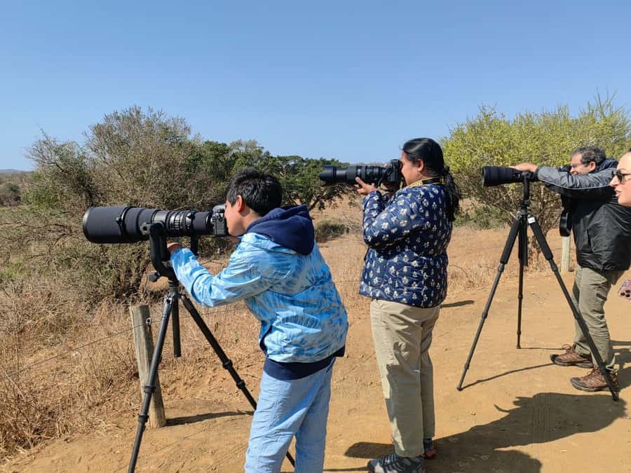 From St Lucia: Big 5 Safari in the Hluhluwe-Imfolozi Park - The one-hour journey from St Lucia