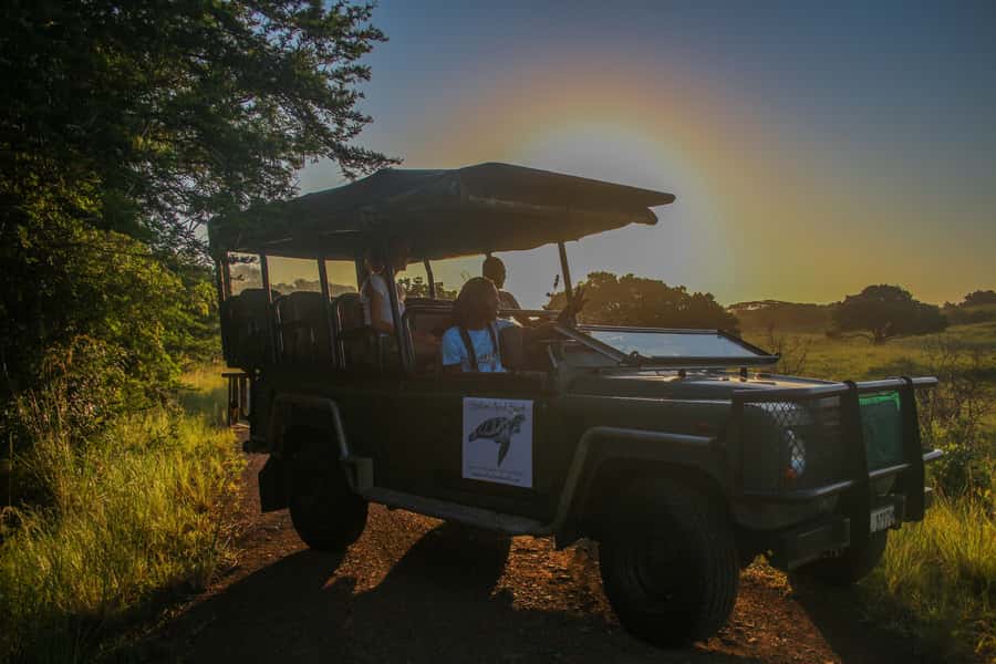 From St Lucia: Cape Vidal Full-Day Snorkeling Safari - The game drive: rhinos, elephants, and small creatures