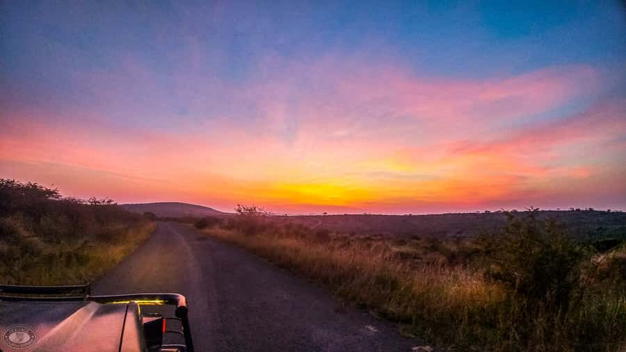 From St Lucia: iSimangaliso Sunset Safari - From St Lucia to the park entrance