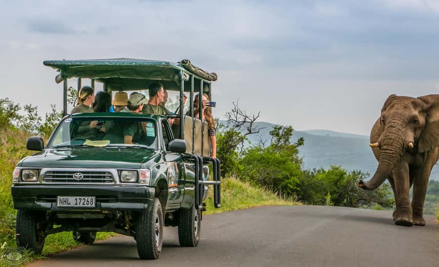 From St Lucia: iSimangaliso Sunset Safari - FAQ