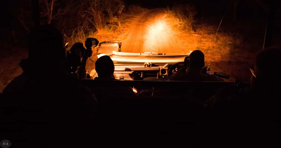 From St Lucia: iSimangaliso Wetland Park Night Drive Safari - Leaving St Lucia after sunset