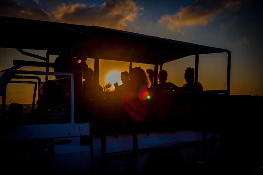 From St Lucia: iSimangaliso Wetland Park Night Drive Safari - What a three-hour night drive feels like