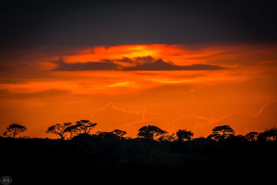 From St Lucia: iSimangaliso Wetland Park Night Drive Safari - The weather can make or break the evening