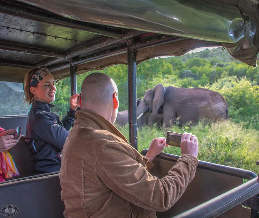 From St Lucia: iSimangaliso Wetland Park Night Drive Safari - Who should book this night safari?