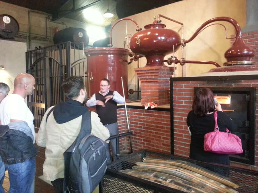 From Stellenbosch: Hop-On Hop-Off Wine Tour Southern Route - Start early for the best choice of estates