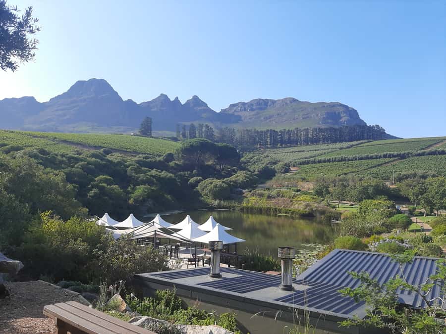 From Stellenbosch: Stellenbosch Guided Vineyard Walk - The light lunch and the pace of the day