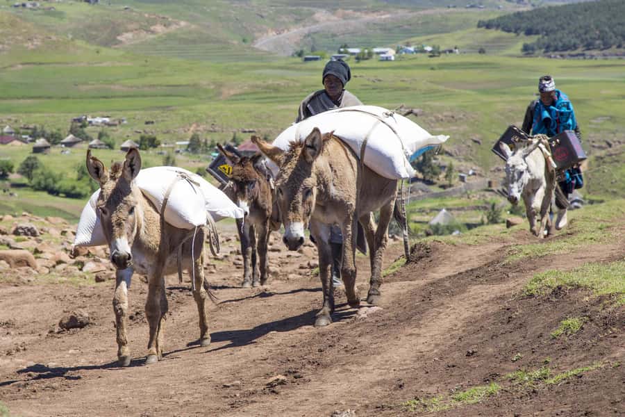 From Underberg: Extended Lesotho Day Tour - 9.5hrs - Lunch at Sani Top requires a reservation