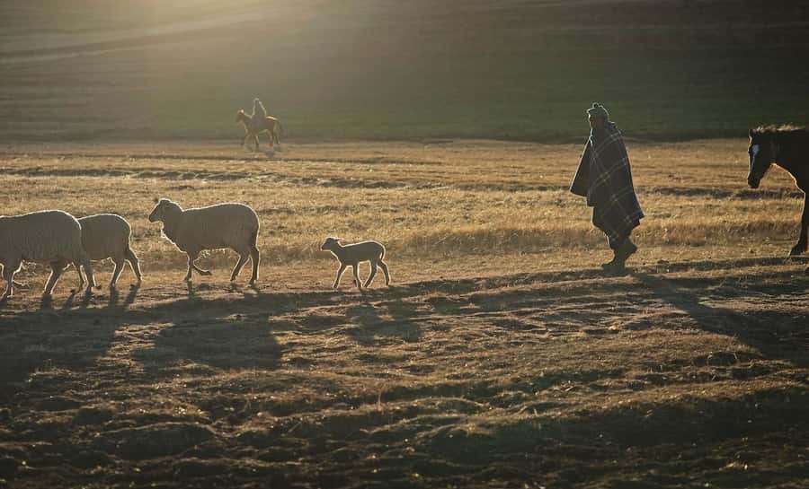 From Underberg: Sani Pass Private Day Tour - A Basotho home visit with bread and local stories