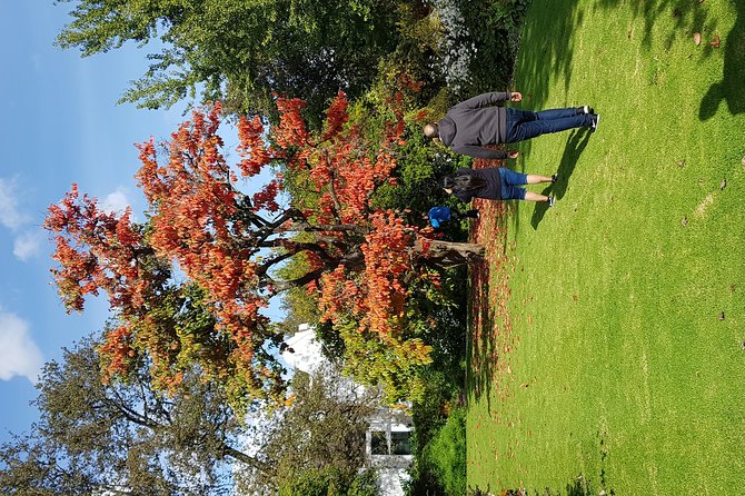 Full Day Afrivista Wine Tours from Stellenbosch - Muratie: old-world character and cellar stories