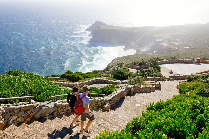 Full Day Cape Peninsula Tour - Why this Cape Peninsula tour is worth your day