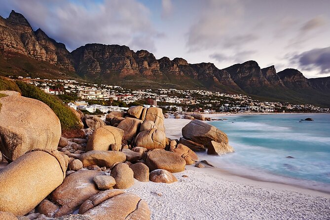 Full Day Cape Peninsula Tour - Simon’s Town and Boulders Beach offer the clearest choice