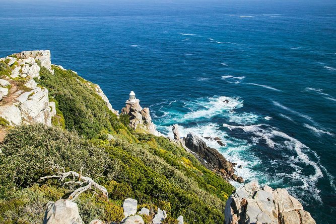 Full-Day Cape Peninsula Tour from Cape Town - Boulders Beach and the African penguins