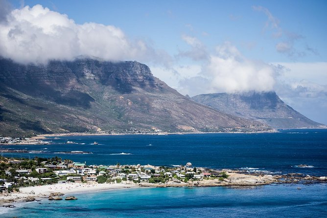 Full-Day Cape Peninsula Tour from Cape Town - Who should book this Cape Peninsula tour?