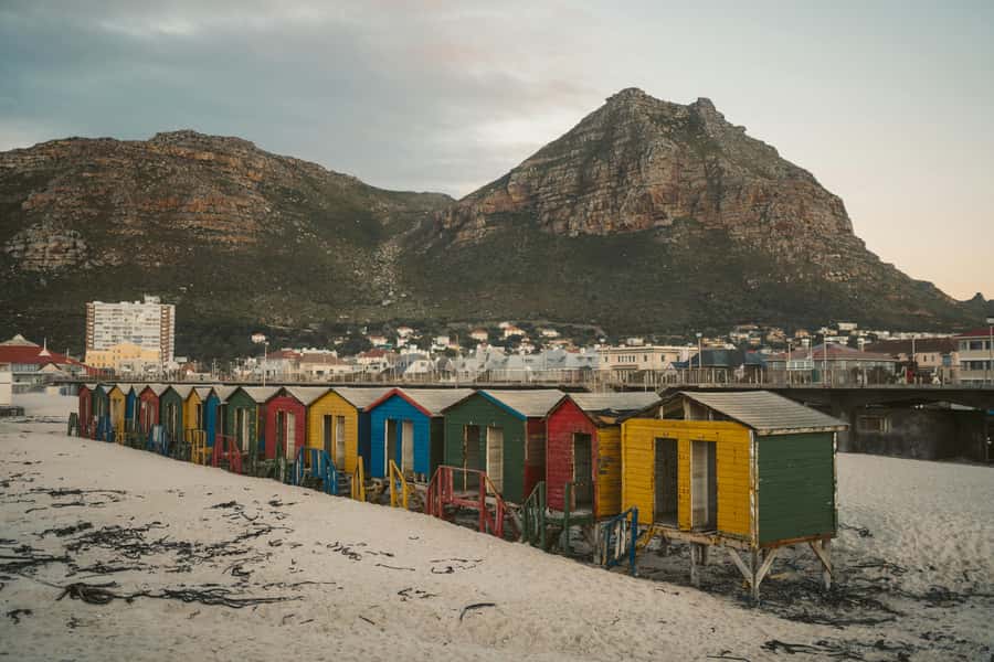 Full day Cape Penisula Tour: Chapman's Peak - Cape Point - Why the Cape Peninsula makes such a good day out