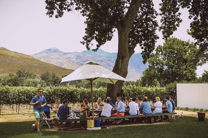 Full-Day Franschhoek Hop On Hop Off Wine Tram Tour from Cape Town - What each winery stop adds