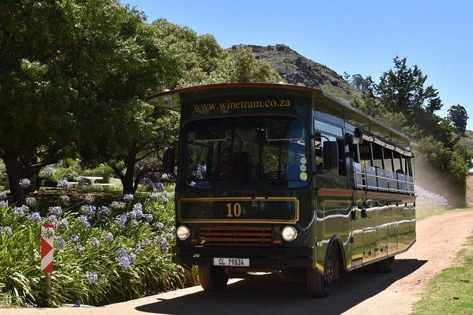 Full-Day Franschhoek Hop On Hop Off Wine Tram Tour from Cape Town - Who should choose this tour?