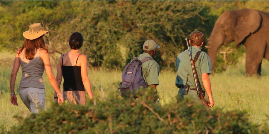 Full Day Hluhluwe Imfolozi Game Reserve Tour from Durban - What the animal list means in practice