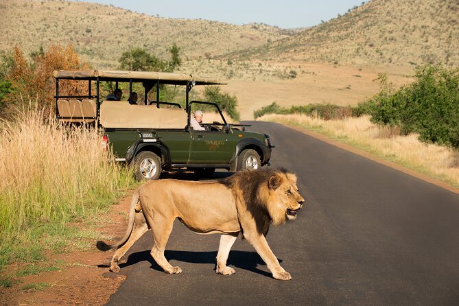 Full Day Pilanesberg Experience in Open Vehicle - Lunch at a Pilanesberg rest camp