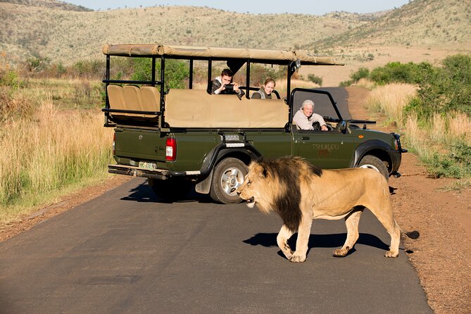 Full Day Pilanesberg Experience in Open Vehicle - The afternoon closed-vehicle drive