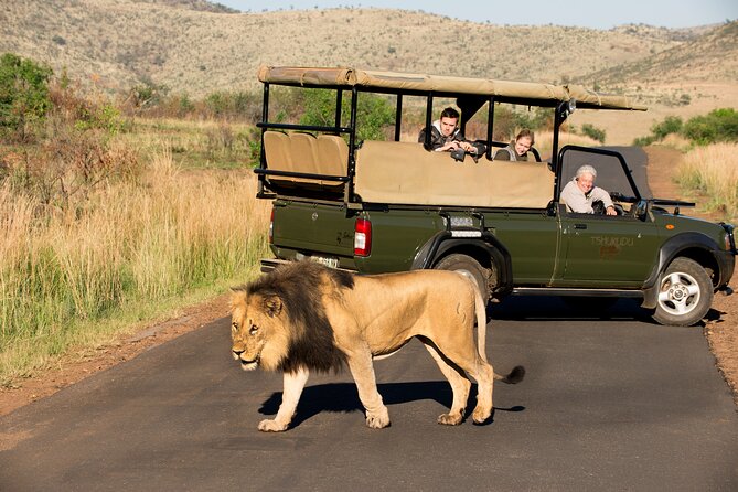Full Day Pilanesberg Experience in Open Vehicle - What the guides add to the day