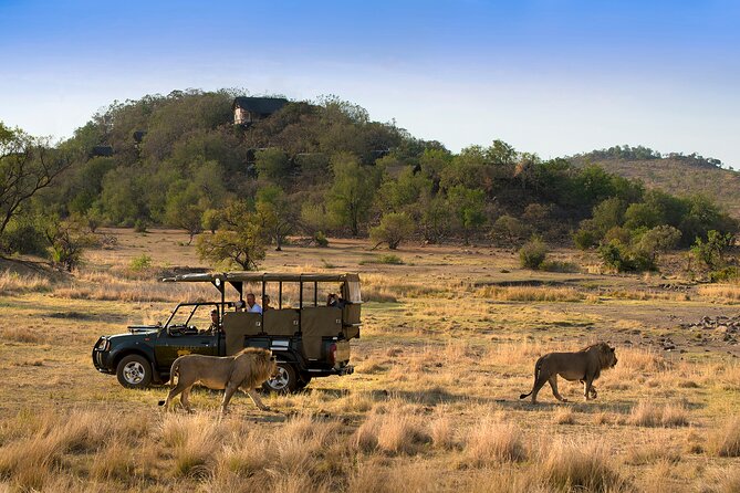Full Day Pilanesberg Safari Adventure - The morning drive from Bakubung Gate or Sun City