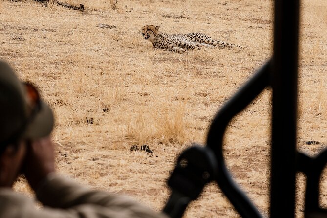 Full Day Pilanesberg Safari Adventure - The wildlife you might see