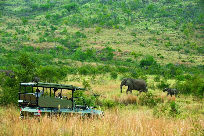 Full Day Pilanesberg Safari Adventure - Who will enjoy this safari most