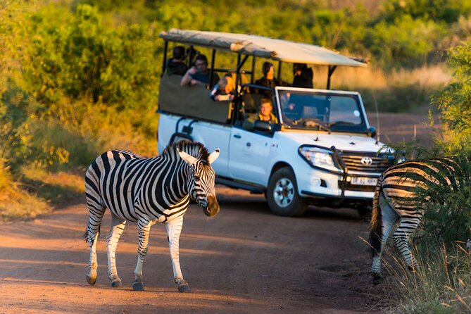 Full Day Pilanesberg Safari Adventure - A light lunch inside the reserve
