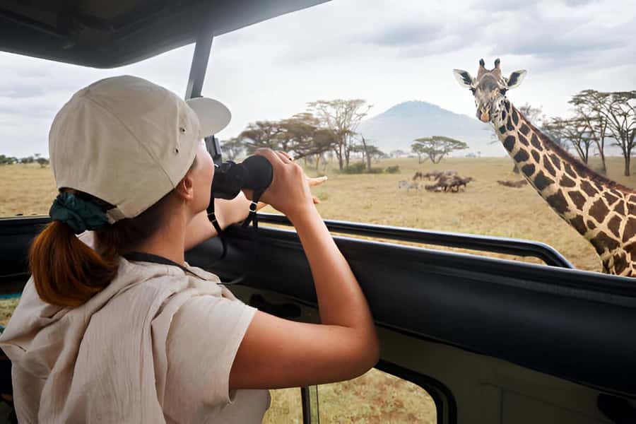 Full-Day Pilanesberg Safari from Sun City - A Big 5 safari close to Sun City