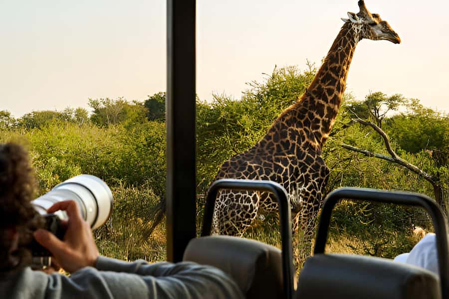 Full-Day Pilanesberg Safari from Sun City - The morning pickup and drive from Sun City
