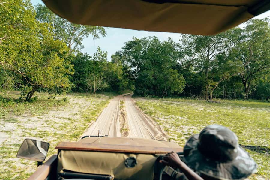 Full-Day Pilanesberg Safari from Sun City - Three hours in an open safari vehicle