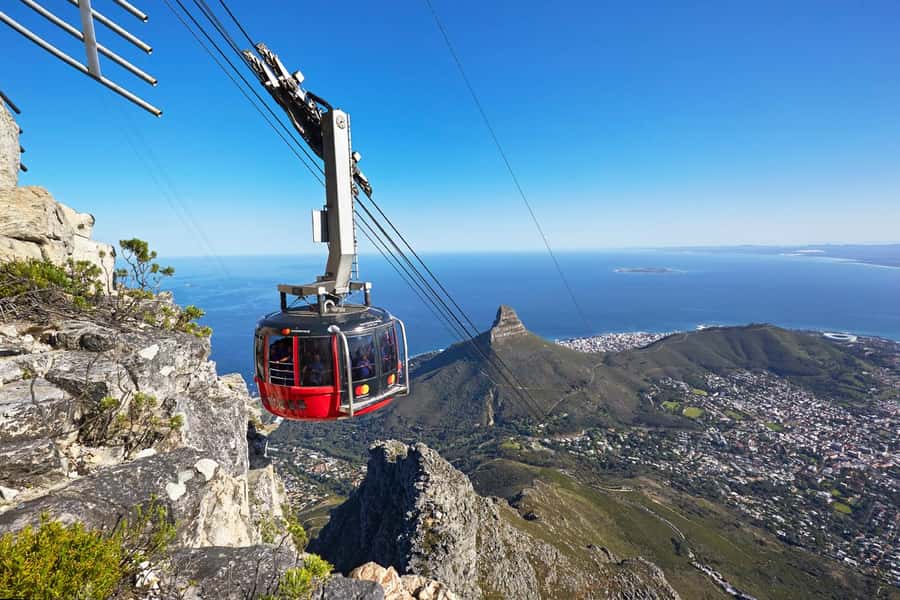 Full-Day Private: Best of the Cape - Simon’s Town adds a human pause