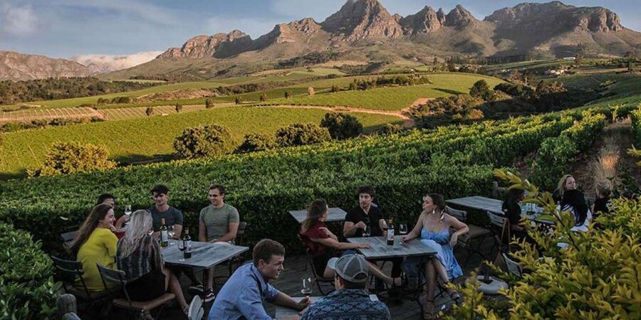Full-Day Private: Best of the Cape - Constantia or Stellenbosch for the final glass