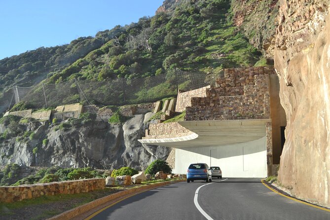 Full Day Private Cape Peninsula and Boulders Beach Tour - Chapman’s Peak Drive: the road is the attraction