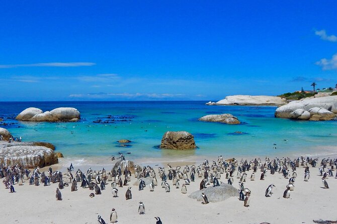 Full Day Private Cape Peninsula and Boulders Beach Tour - Noordhoek: a slower stretch of the peninsula